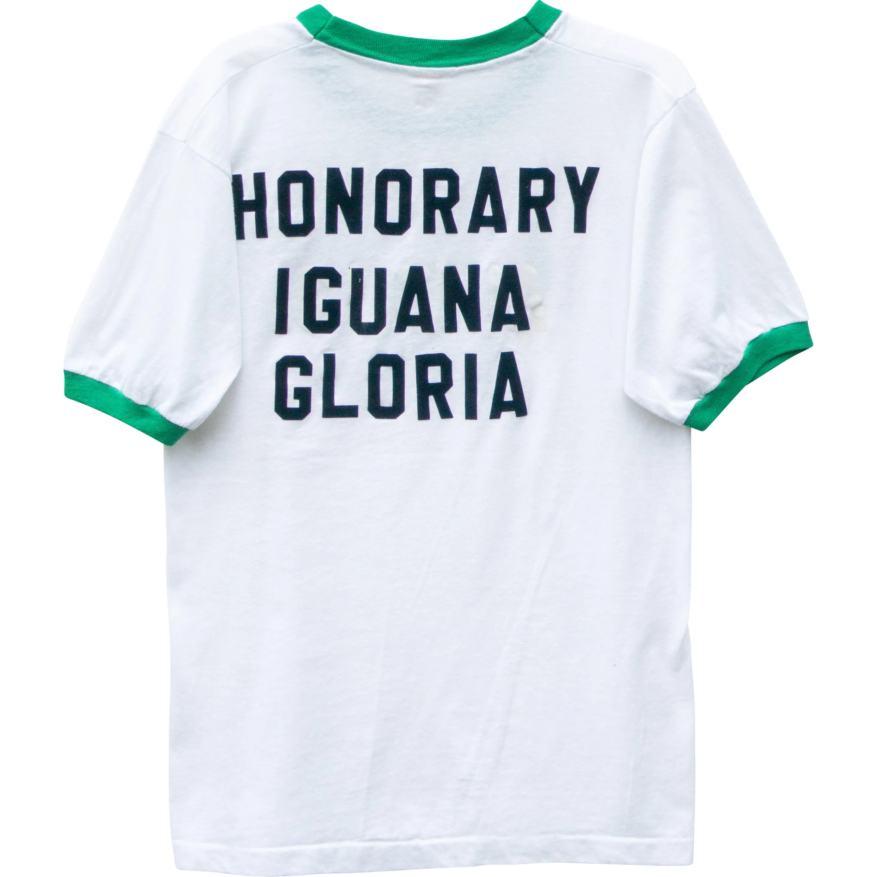 VINTAGE IGUANAS TEE